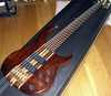 Peavey Cirrus 6.jpg